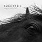 Amon Tobin - Button Down Fashion Bow